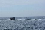 Dcim11578/DSC_7406