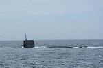 Dcim11578/DSC_7411