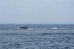 Dcim11578/DSC_7430
