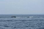 Dcim11578/DSC_7431