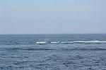 Dcim11578/DSC_7438
