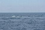 Dcim11579/DSC_7440
