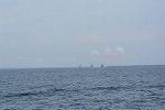 Dcim11579/DSC_7536
