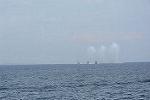 Dcim11579/DSC_7547
