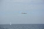 Dcim11579/DSC_7645