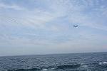 Dcim11580/DSC_7712