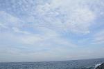 Dcim11580/DSC_7806