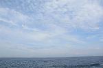 Dcim11580/DSC_7807