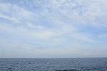 Dcim11580/DSC_7809