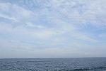 Dcim11580/DSC_7811