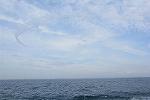 Dcim11580/DSC_7815