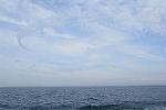 Dcim11580/DSC_7816