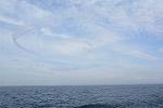 Dcim11580/DSC_7818