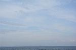 Dcim11580/DSC_7824