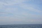 Dcim11580/DSC_7825