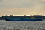 Dcim11586/DSC_8993