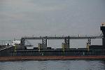 Dcim11586/DSC_9036