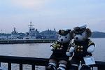 Dcim11587/DSC_9172