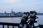 Dcim11587/DSC_9173