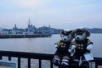 Dcim11587/DSC_9174