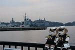 Dcim11587/DSC_9176