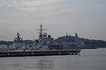 Dcim11587/DSC_9219