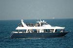 Dcim11609/DSC_8155