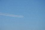 Dcim11613/DSC_2044