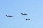 Dcim11618/DSC_2131
