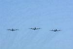 Dcim11618/DSC_2138