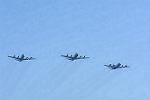 Dcim11618/DSC_2142