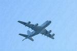 Dcim11618/DSC_2150