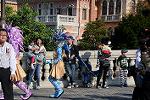 Dcim11628/DSC_3445