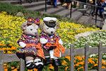 Dcim11645/DSC_5777