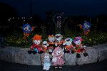 Dcim11659/DSC_7473