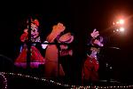Dcim11662/DSC_7990