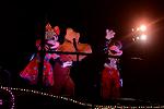 Dcim11662/DSC_7996