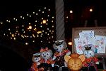 Dcim11666/DSC_8529