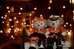 Dcim11666/DSC_8578