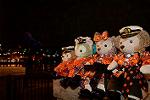 Dcim11666/DSC_8625