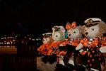 Dcim11666/DSC_8626