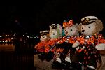 Dcim11666/DSC_8628