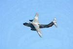 Dcim11672/DSC_9501