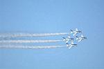Dcim11673/DSC_9838