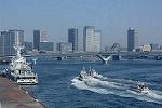Dcim11682/DSC_1151