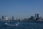 Dcim11683/DSC_1214