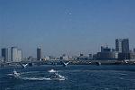 Dcim11683/DSC_1216