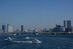Dcim11683/DSC_1217