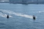 Dcim11683/DSC_1296
