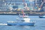 Dcim11685/DSC_1537